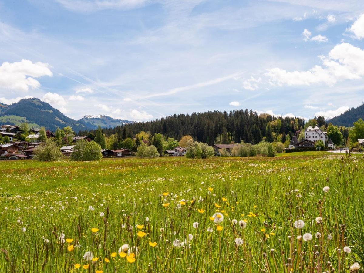 Beautiful Flat In Kirchberg Near The Area Apartment *